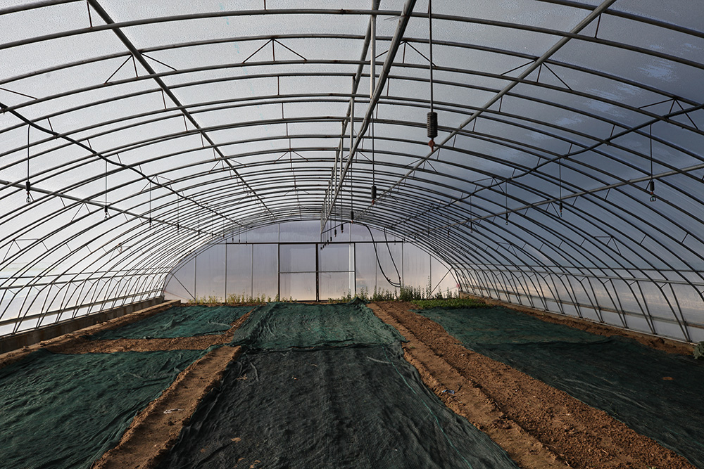 1548033735423472.jpg IMG_8862.jpg