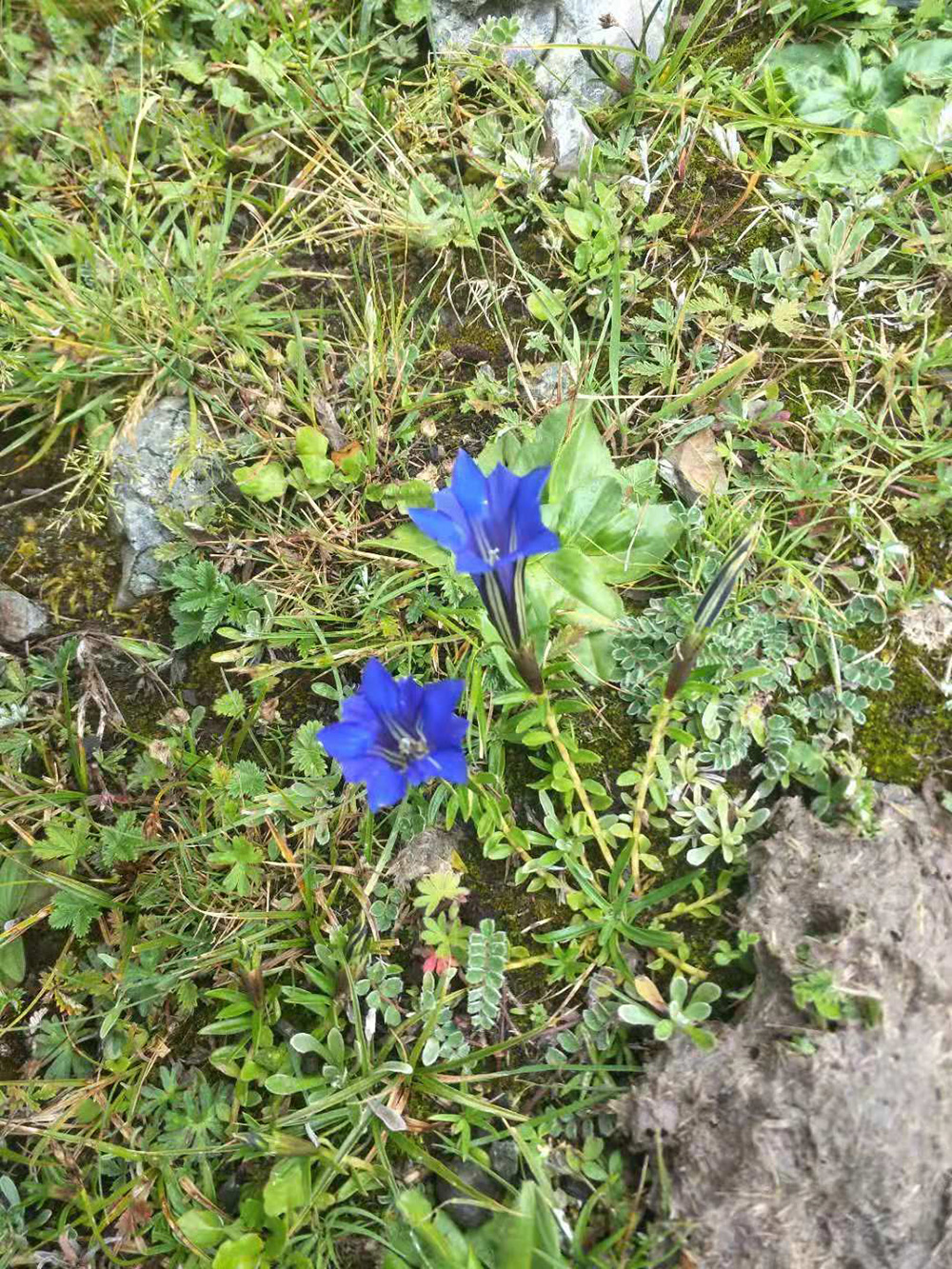 1548034792760068.jpg 微信圖片_20181105104146.jpg