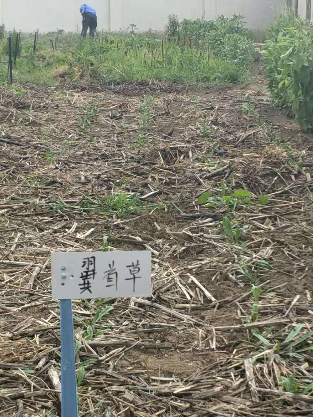 1548034794462640.jpg 微信圖片_20181105104207.jpg