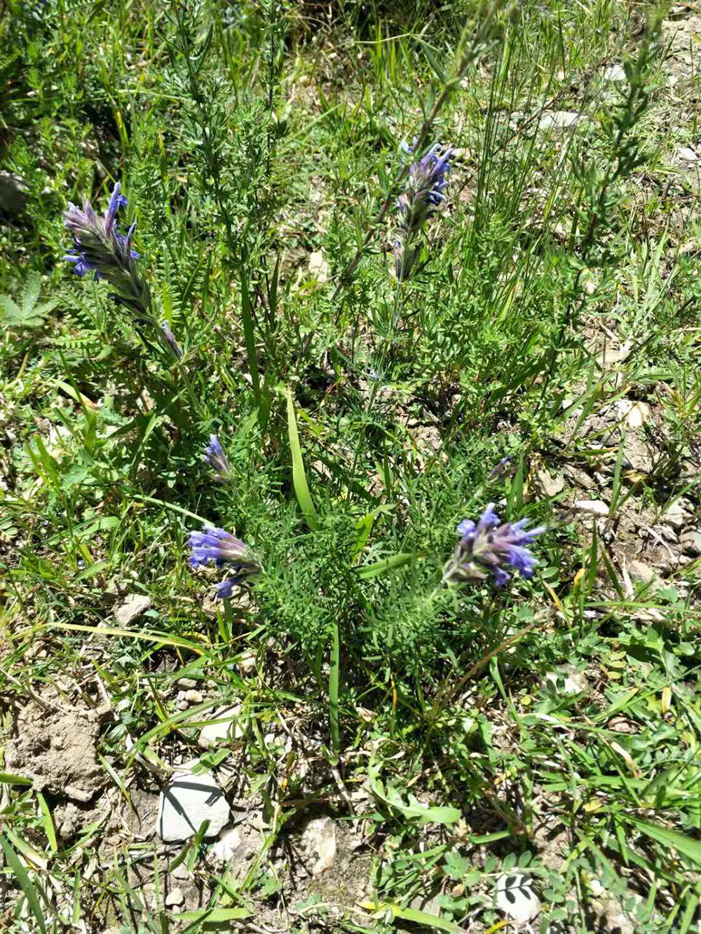 1548034795461779.jpg 微信圖片_20181105104228.jpg