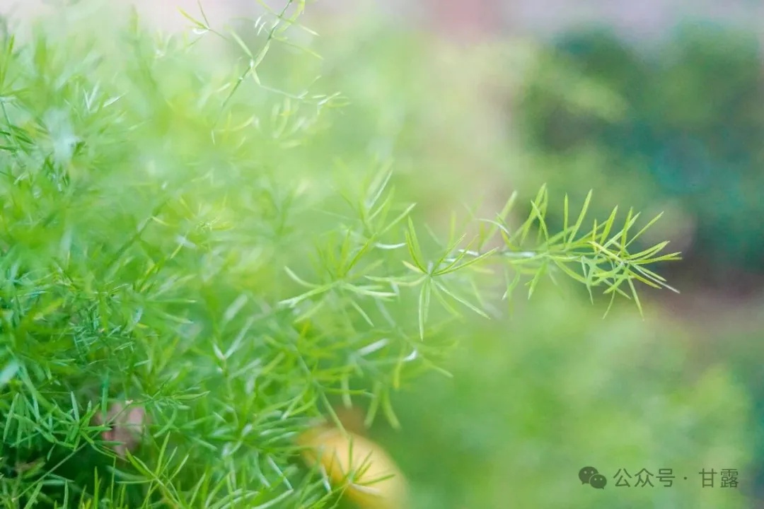 1768878620706392.jpg 640 (1).jpg