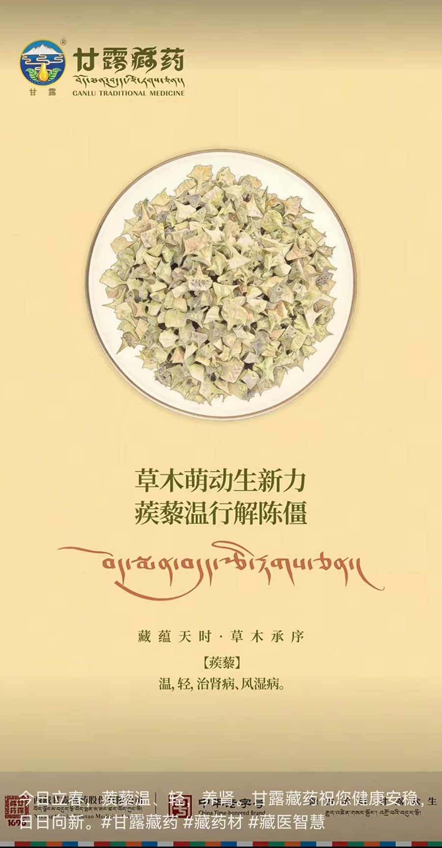 1770172911667199.jpg 微信圖片_20260204103909_471_127.jpg